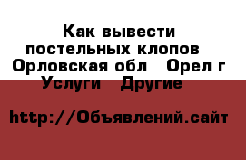 Как вывести постельных клопов - Орловская обл., Орел г. Услуги » Другие   